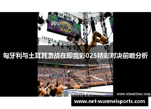 匈牙利与土耳其激战在即竞彩025精彩对决前瞻分析
